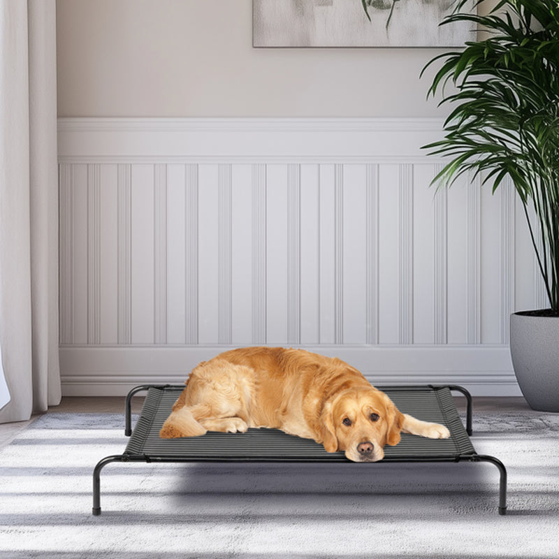 Pet Beds