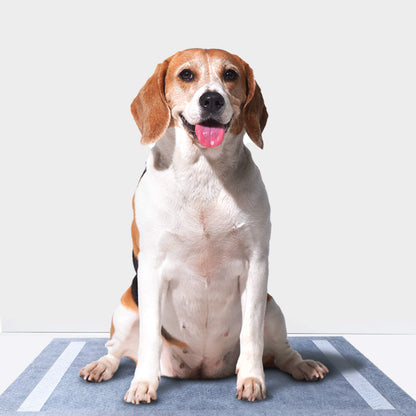 PETMARVEL Disposable Charcoal Puppy Pads Odor Control 24X24 Inches