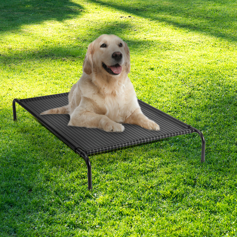 Pet Beds